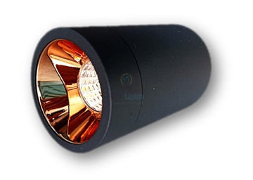 12W COB Surface Light (WW/NW)